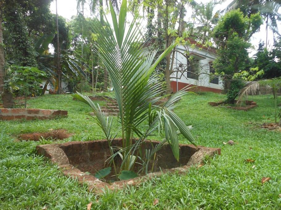 Runnin Airport - Homestay Gurpur Exteriör bild