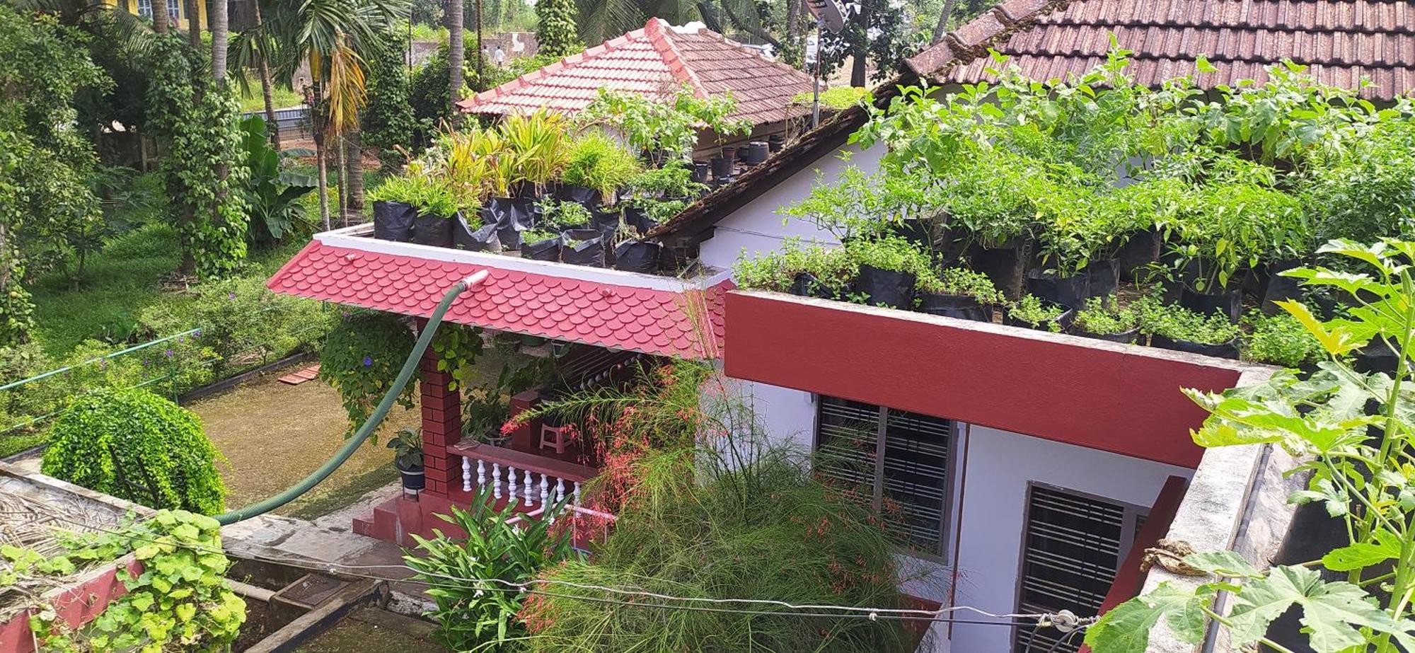 Runnin Airport - Homestay Gurpur Exteriör bild