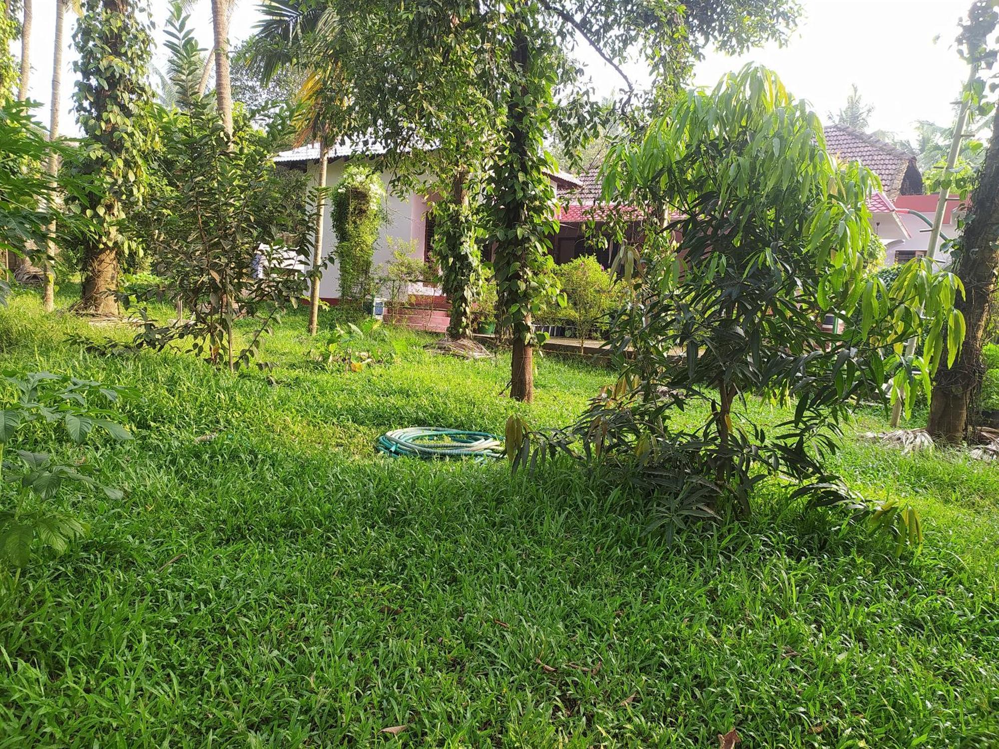 Runnin Airport - Homestay Gurpur Exteriör bild